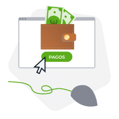 payments, wallet, cash